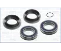 Sada t�sn�n�, elektromotor&nbsp;AJUSA&nbsp;&dash;&nbsp;AJS EV000600