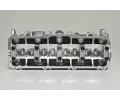 AMC Hlava vlce AMC 908010, 908010