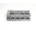 AMC Hlava vlce AMC 908245, 908245
