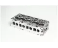 AMC Hlava vlce AMC 908334, 908334