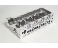 AMC Hlava vlce AMC 908572, 908572