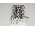 AMC Hlava vlce AMC 908656, 908656
