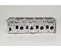 AMC Hlava vlce AMC 908656, 908656