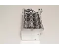 AMC Hlava vlce AMC 908672, 908672