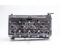 AMC Hlava vlce AMC 908818K, 908818K