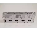 AMC Hlava vlce AMC 908826, 908826