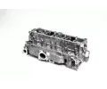 AMC Hlava vlce AMC 908833, 908833