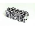AMC Hlava vlce AMC 908895, 908895