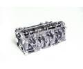 AMC Hlava vlce AMC 908895, 908895
