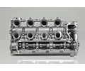 AMC Hlava vlce AMC 908905, 908905