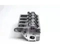 AMC Hlava vlce AMC 908906K, 908906K