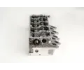 AMC Hlava vlce AMC 908925K, 908925K