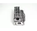 AMC Hlava vlce AMC 908933, 908933
