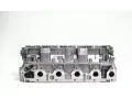 AMC Hlava vlce AMC 908933, 908933