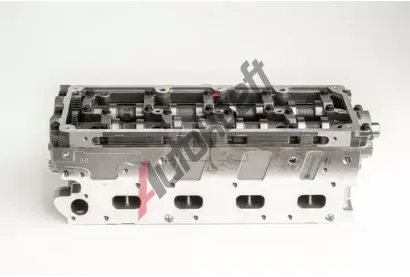 AMC Hlava vlce AMC 908956K, 908956K