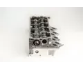 AMC Hlava vlce AMC 908956K, 908956K