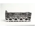 AMC Hlava vlce AMC 908995, 908995
