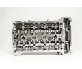 AMC Hlava vlce AMC 910570, 910570