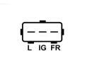 AS-PL Alterntor APL A5059, A5059
