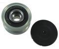 AS-PL Alterntorov volnobka APL AFP0015(INA), AFP0015(INA)