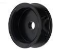 AS-PL emenice alterntoru ‐ APL AP0028