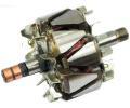Rotor alterntoru AS-PL ‐ APL AR0020