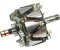 Rotor alterntoru AS-PL ‐ APL AR0040