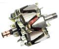 Rotor alterntoru AS-PL ‐ APL AR0041