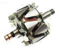 AS-PL Rotor alterntoru ‐ APL AR0053