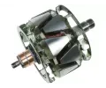 Rotor alterntoru AS-PL ‐ APL AR5076S