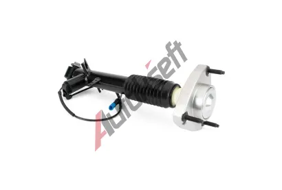 Arnott Tlumič pérování ARN SK-3816, SK-3816 Arnott Tlumič pérování ARN SK-3816, SK-3816