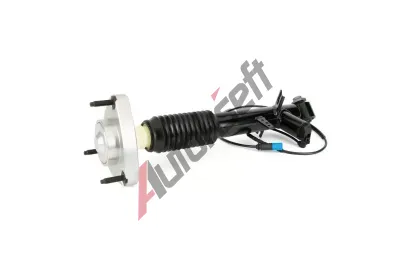 Arnott Tlumič pérování ARN SK-3817, SK-3817 Arnott Tlumič pérování ARN SK-3817, SK-3817