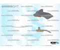 Tsnn pednho skla PILKINGTON ‐ AS 2469ASGHT