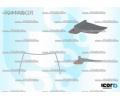 Tsnn pednho skla PILKINGTON ‐ AS 7941ASGR