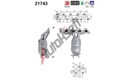 AS Katalyztor ASA 21743, 21743