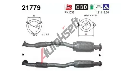 AS Katalyztor ASA 21779, 21779