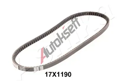 ASHIKA Kl�nov� �emen ASH 109-17X1190, 10917X1190