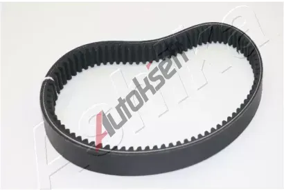 ASHIKA Kl�nov� �emen ASH 109-MC004, 109-MC004