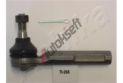 ASHIKA Čep řízení ASH 111-02-266, 111-02-266 ASHIKA Čep řízení ASH 111-02-266, 111-02-266