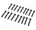 Sada roub pro hlavy vlc ASHIKA ‐ ASH 115-05-504