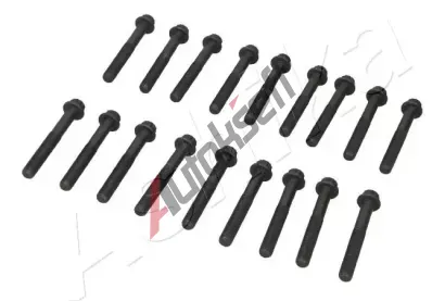 ASHIKA Sada šroubů pro hlavy válců ASH 115-05-504, 115-05-504 ASHIKA Sada šroubů pro hlavy válců ASH 115-05-504, 115-05-504