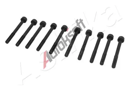 ASHIKA Sada roub pro hlavy vlc ASH 115-0K-K02, 115-0K-K02