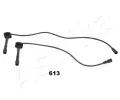 Sada kabel pro zapalovn ASHIKA ‐ ASH 132-06-613