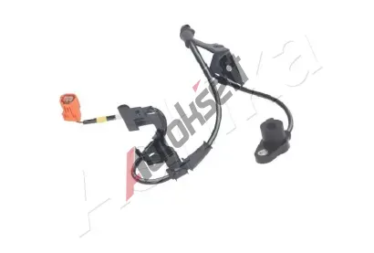 ASHIKA Snma potu otek kol ASH 151-04-455, 151-04-455