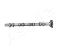 Vakov hdel ASHIKA ‐ ASH 16FO002