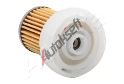 ASHIKA Palivov filtr ASH 30-00-MC04, 30-00-MC04