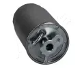 ASHIKA Palivov filtr ASH 30-0L-L06, 30-0L-L06