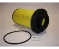 Palivov filtr ASHIKA ‐ ASH 30-ECO001