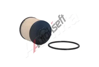 ASHIKA Palivov filtr ASH 30-ECO040, 30-ECO040