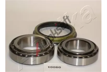 ASHIKA Sada loiska kola ASH 44-10060, 44-10060